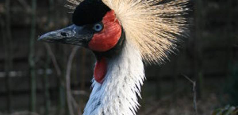07_tiergarten_im-fruehling