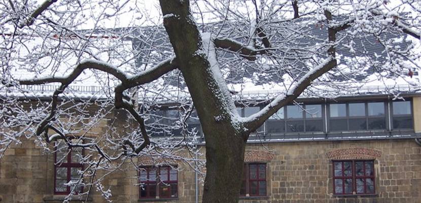 06_winter_08