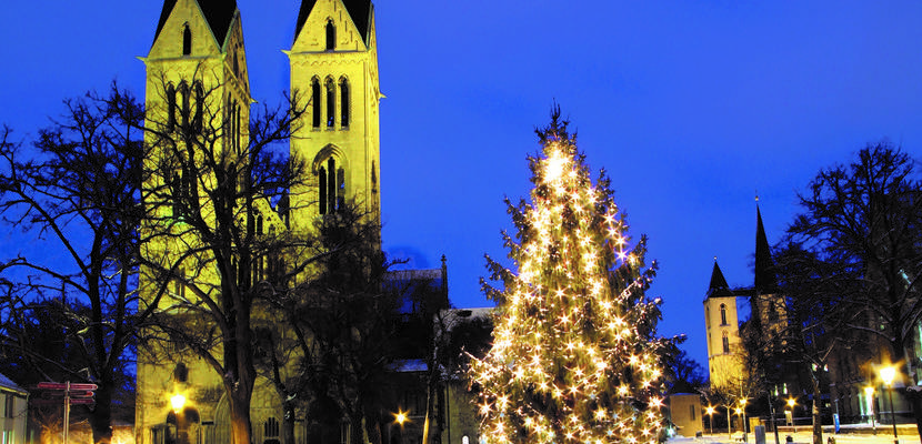 domplatz ronald g ttel