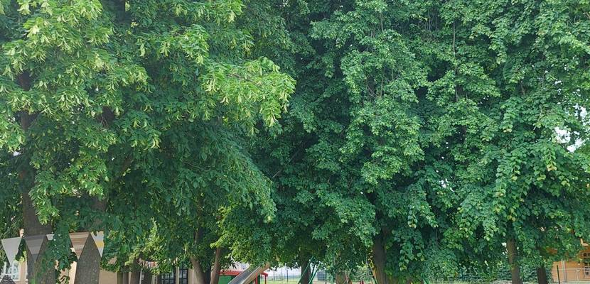 Spielplatz Kiga 2