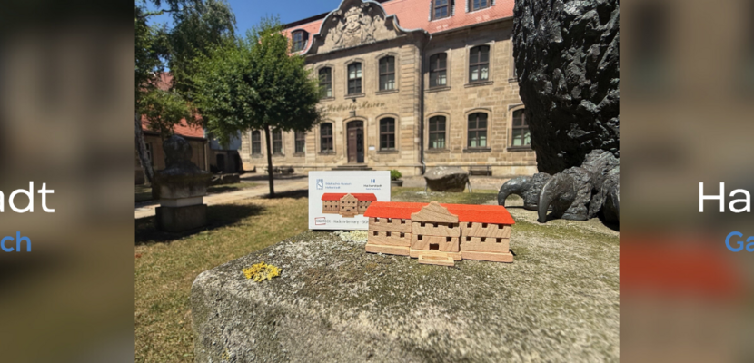 museum in taschenformat