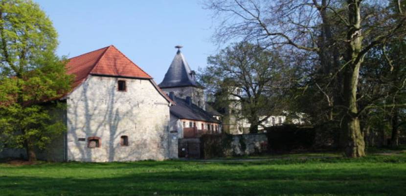 11 emersleben