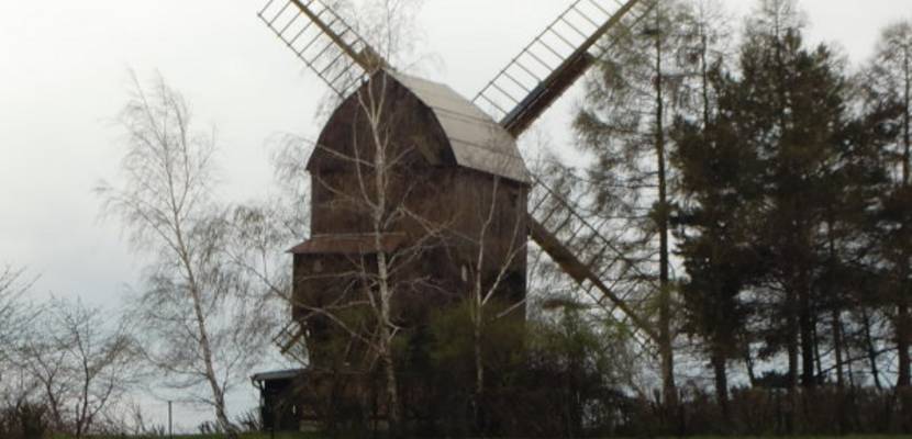 08 sargstedt