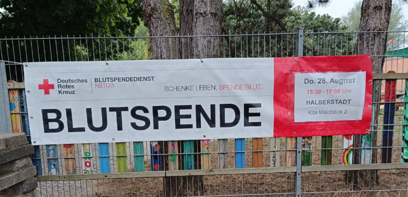 pm blutspende kita