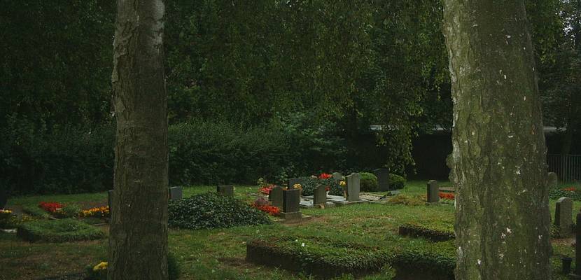 friedhof ströbeck (5)