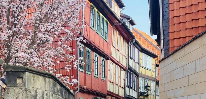 Altstadt_Rosenwinkel_Halberstadt ©Nicole Huhn altstadt rosenwinkel nicole huhn