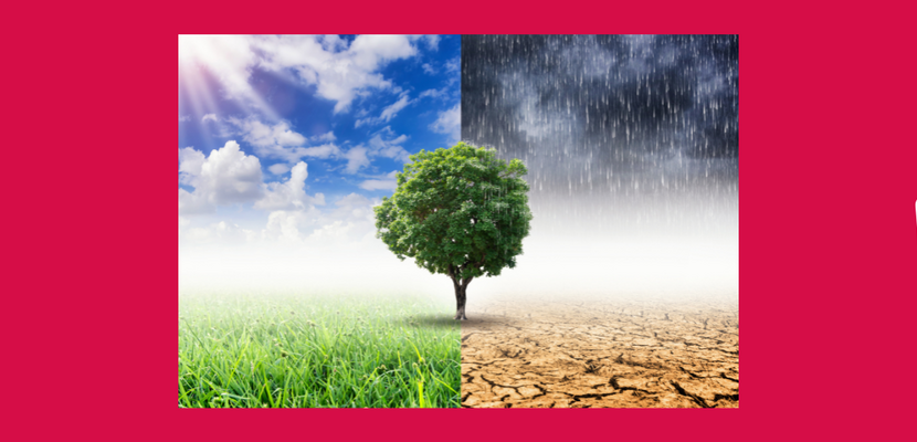 Klimastammtisch- der Stadt Halberstadt © Stadt Halberstadt klimastammtisch 1