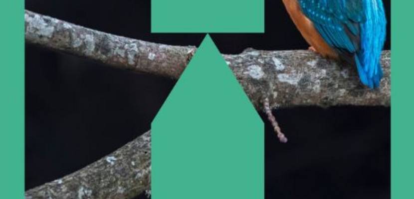 VA Kalender Bild (44)