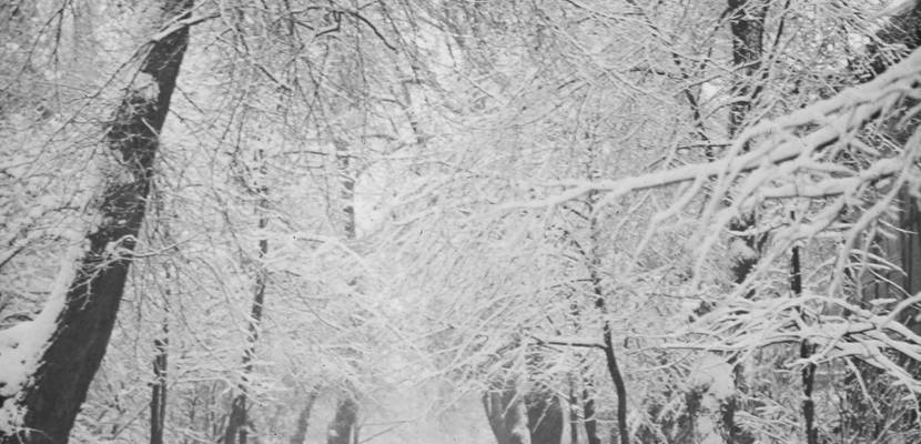 Winterlandschaft Lindenweg, 1920 1930