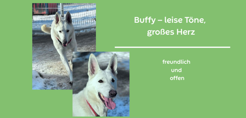 vermittlung berry hintergrund gr n 2