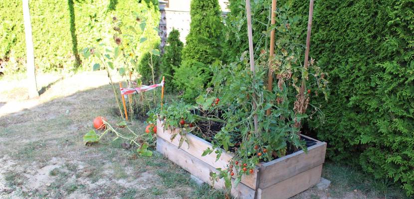 Kita Storchenkinder Emersleben - Außenansicht © Kita Emersleben 2026 02 kita storchenkinder emersleben(c)kita selbst (5)