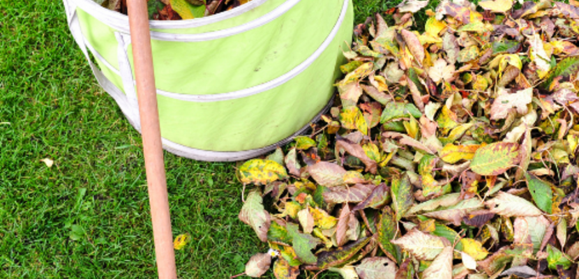 VA Kalender Bild (23)