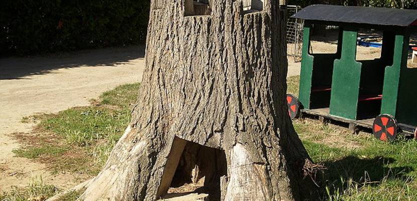 KITA_Hoppelnase_Baumturm KITA_Hoppelnase_Baumturm