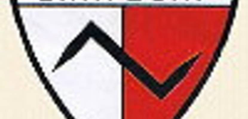msv logo