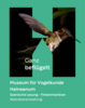Abendveranstaltungen vom Museum Heineanum 2025