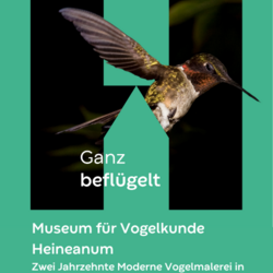 Abendveranstaltungen vom Museum Heineanum 2025