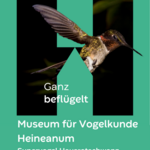 Abendveranstaltungen vom Museum Heineanum 2025