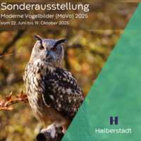 https://www.halberstadt.de/var/cache/thumb_327606_1032_1_200_200_r4_png_movo_2025_va.png