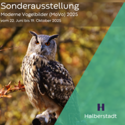 https://www.halberstadt.de/var/cache/thumb_327606_1032_1_250_250_r4_png_movo_2025_va.png