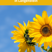 Sommerfest