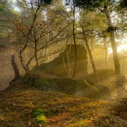 Mystik in den Halberstädter Bergen