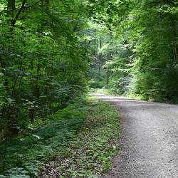 https://www.halberstadt.de/var/cache/thumb_334575_1032_1_250_250_r4_jpeg_huyswald_konstanze_eichner_quer.jpeg