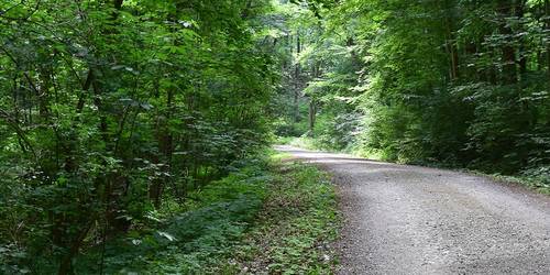 https://www.halberstadt.de/var/cache/thumb_334575_1032_1_500_250_r4_jpeg_huyswald_konstanze_eichner_quer.jpeg
