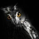 Geisterstunde im Tiergarten Halloween Tiergarten