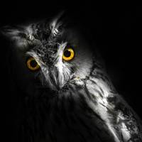 Geisterstunde im Tiergarten Halloween Tiergarten