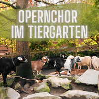 Opernchor im Tiergarten